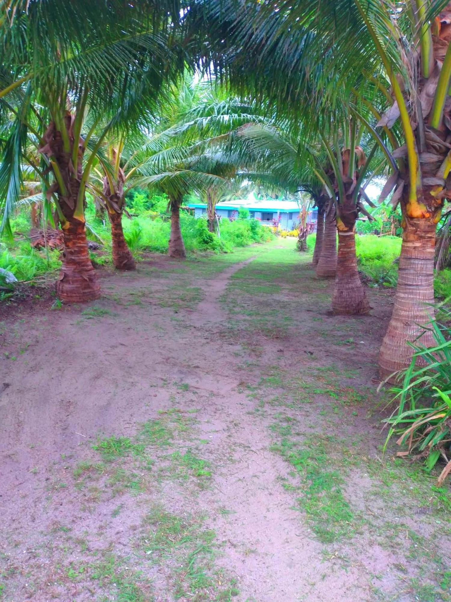 Ravita Cove Homeaway From Home Homestay Matacawalevu Island Dış mekan fotoğraf